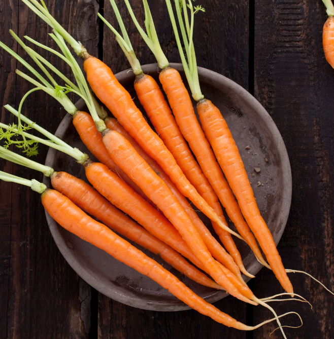 Fresh Carrots